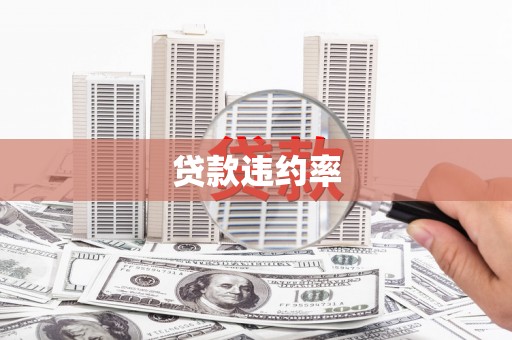 兴隆台贷款违约率