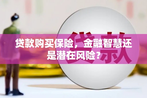 兴隆台贷款购买保险，金融智慧还是潜在风险？