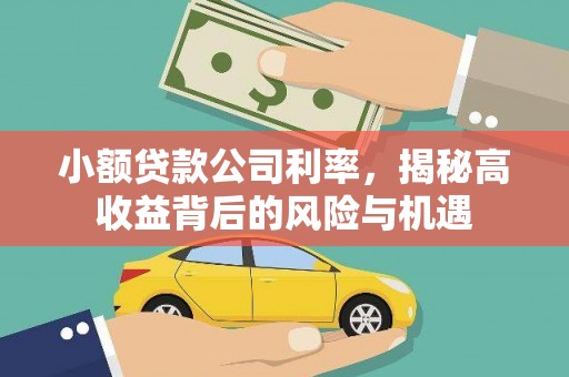 兴隆台小额贷款公司利率，揭秘高收益背后的风险与机遇