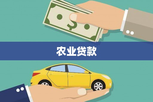 兴隆台农业贷款
