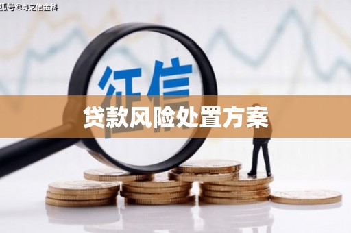 兴隆台贷款风险处置方案