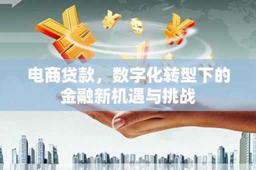 兴隆台电商贷款，数字化转型下的金融新机遇与挑战