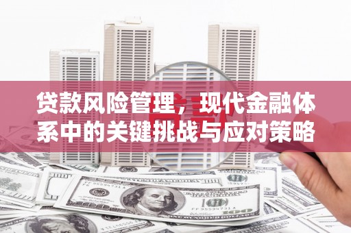 兴隆台贷款风险管理，现代金融体系中的关键挑战与应对策略