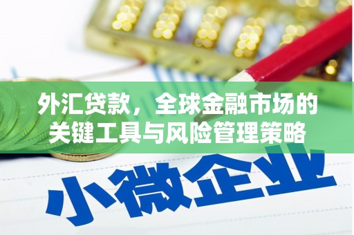兴隆台外汇贷款，全球金融市场的关键工具与风险管理策略