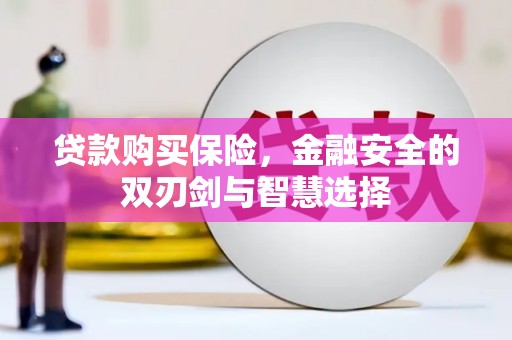 兴隆台贷款购买保险，金融安全的双刃剑与智慧选择
