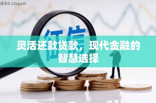 兴隆台灵活还款贷款，现代金融的智慧选择