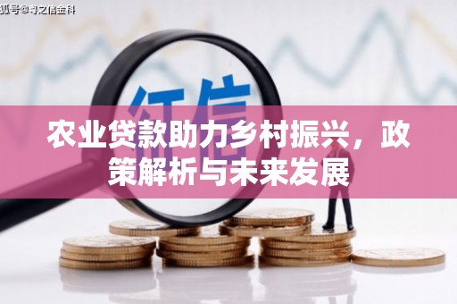 兴隆台农业贷款助力乡村振兴，政策解析与未来发展