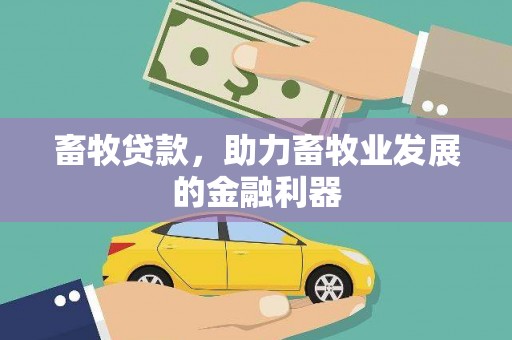 兴隆台畜牧贷款，助力畜牧业发展的金融利器