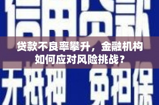 兴隆台贷款不良率攀升，金融机构如何应对风险挑战？
