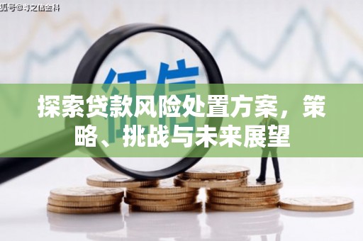 兴隆台探索贷款风险处置方案，策略、挑战与未来展望