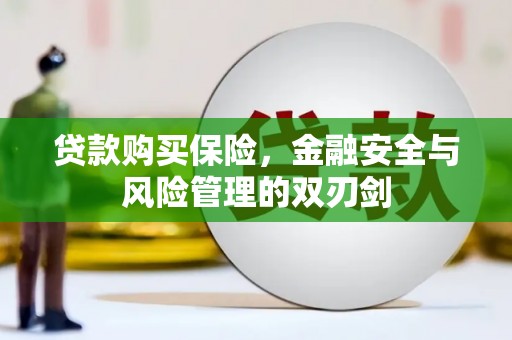 兴隆台贷款购买保险，金融安全与风险管理的双刃剑