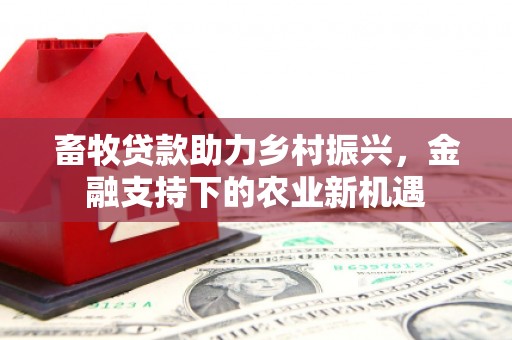 兴隆台畜牧贷款助力乡村振兴，金融支持下的农业新机遇