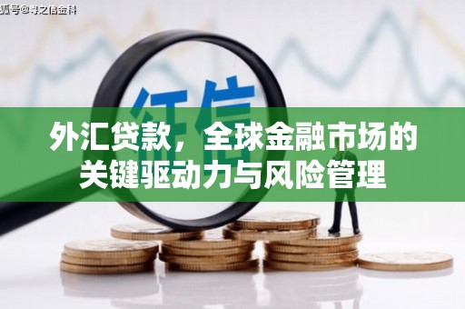 兴隆台外汇贷款，全球金融市场的关键驱动力与风险管理