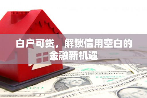 兴隆台白户可贷，解锁信用空白的金融新机遇
