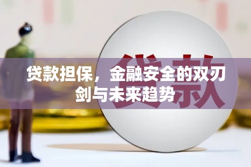 兴隆台贷款担保，金融安全的双刃剑与未来趋势