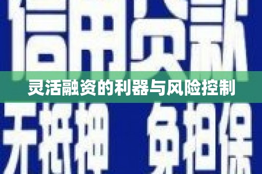 兴隆台灵活融资的利器与风险控制