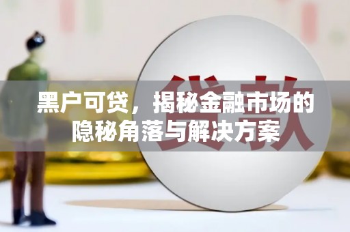 兴隆台黑户可贷，揭秘金融市场的隐秘角落与解决方案