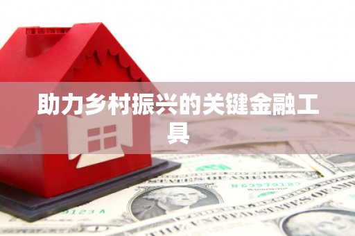 兴隆台助力乡村振兴的关键金融工具