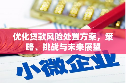 兴隆台优化贷款风险处置方案，策略、挑战与未来展望