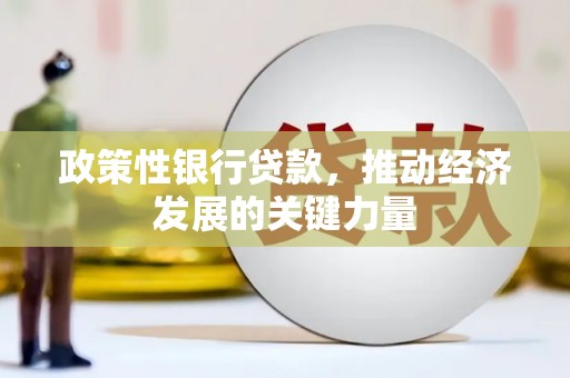 兴隆台政策性银行贷款，推动经济发展的关键力量