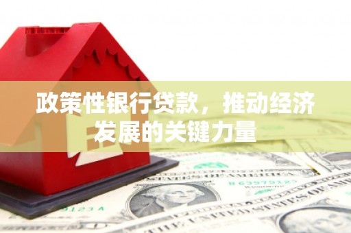 兴隆台政策性银行贷款，推动经济发展的关键力量