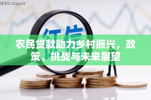 兴隆台农民贷款助力乡村振兴，政策、挑战与未来展望
