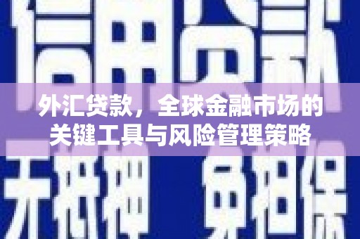 兴隆台外汇贷款，全球金融市场的关键工具与风险管理策略