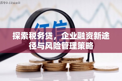 兴隆台探索税务贷，企业融资新途径与风险管理策略