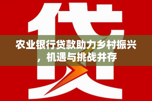 兴隆台农业银行贷款助力乡村振兴，机遇与挑战并存