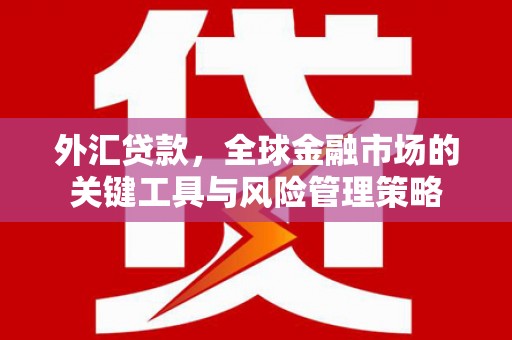 兴隆台外汇贷款，全球金融市场的关键工具与风险管理策略