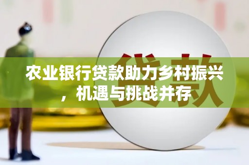 兴隆台农业银行贷款助力乡村振兴，机遇与挑战并存