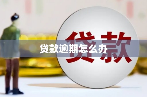 兴隆台贷款逾期怎么办