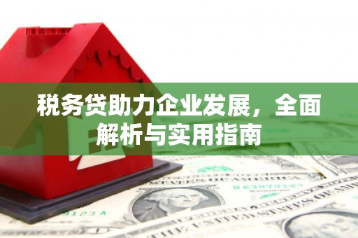 兴隆台税务贷助力企业发展，全面解析与实用指南