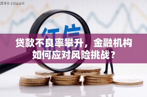 兴隆台贷款不良率攀升，金融机构如何应对风险挑战？