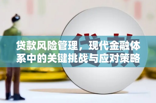 兴隆台贷款风险管理，现代金融体系中的关键挑战与应对策略