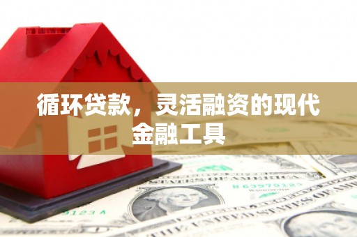 兴隆台循环贷款，灵活融资的现代金融工具