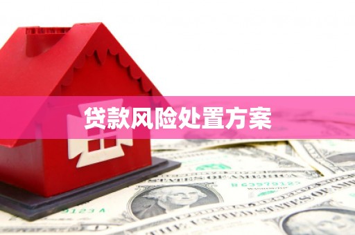 兴隆台贷款风险处置方案