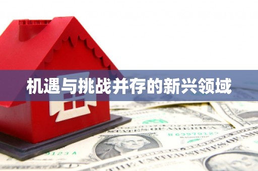 兴隆台机遇与挑战并存的新兴领域