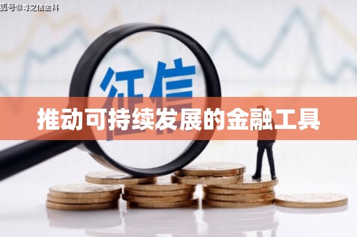 兴隆台推动可持续发展的金融工具