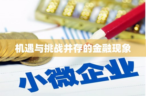兴隆台机遇与挑战并存的金融现象