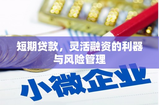 兴隆台短期贷款，灵活融资的利器与风险管理