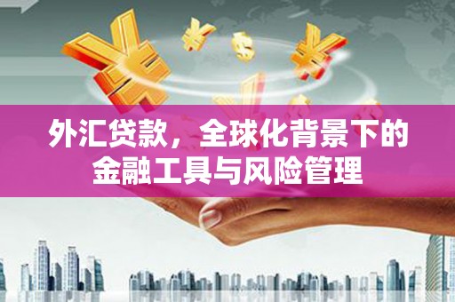 兴隆台外汇贷款，全球化背景下的金融工具与风险管理